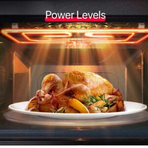 Microwave:Feature 5