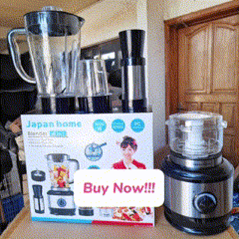Japan Home Blender 4-in-1